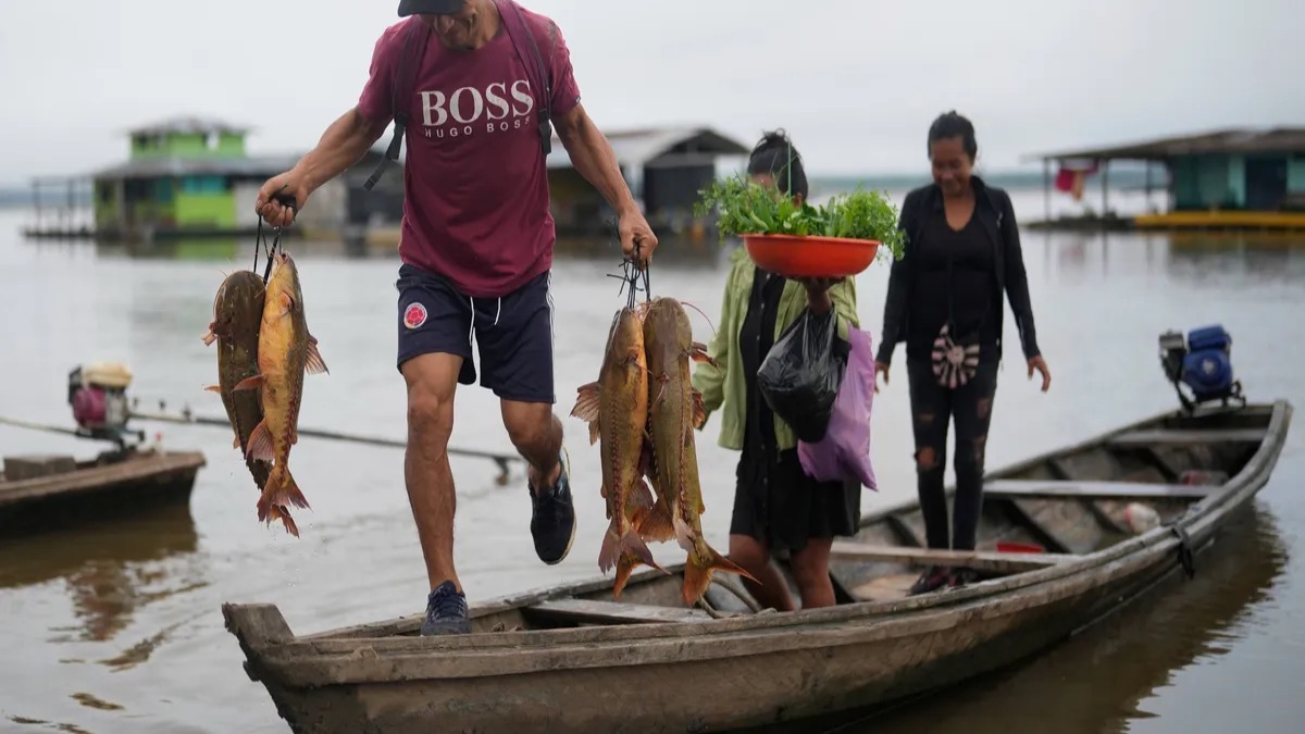 Study Finds Dissolved Oxygen Levels 80% Dropping in More Than Half the World's Rivers Since 1985