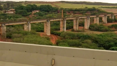 Brazil Bridge