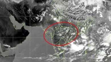 Monsoon Stalls Sharply, Leaving Central India Parched with Severe Rainfall Shortfall