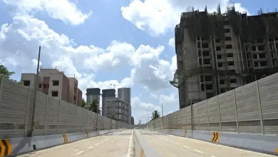 Mrinal Tai Gore Flyover Extension Soon To Ease The Commuters: Operational From 6 June