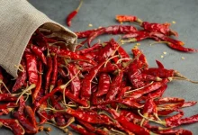 Red Chilli