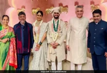 Who Is Sarang Lakhanee? Supriya Sule's Son-in-law