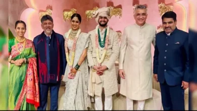 Who Is Sarang Lakhanee? Supriya Sule's Son-in-law