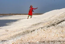 The True "Namak Halals" of India: Agariya Women of Gujarat