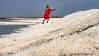 The True "Namak Halals" of India: Agariya Women of Gujarat
