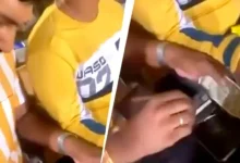 Old IPL Video Sparks Drug Rumours; TVK Minister Issues Clarification