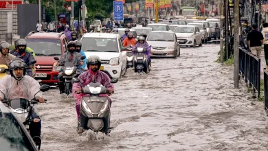 Overnight Downpour Triggers Waterlogging And Uproots Trees Across Parts Of Kerala