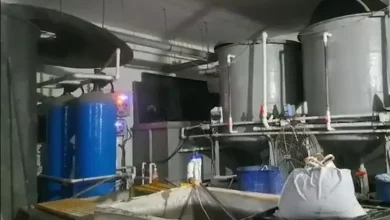 Toxic Gas Leak In Surat Jewellery Unit Claims Four Lives During Tank Cleaning