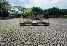 India Faces Intensified Heat and Drier Monsoon Outlook Amid Emerging El Niño