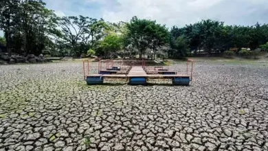 India Faces Intensified Heat and Drier Monsoon Outlook Amid Emerging El Niño