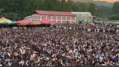 PoK Unrest: Over 50 UK MPs Press Government as Pakistan Minister's 'Not Kashmiri' Remark Sparks Domestic Revolt