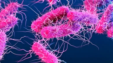 Kerala Issues Alert Over Shigella Infections as Doctors Highlight High-Risk Groups