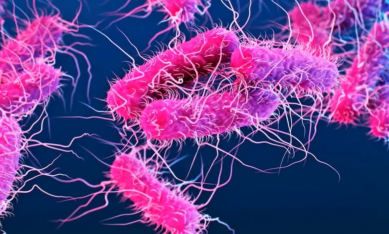 Kerala Issues Alert Over Shigella Infections as Doctors Highlight High-Risk Groups