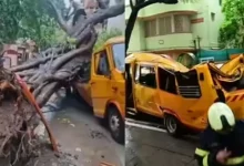 Mumbai Tree Tragedy: Mayor Says Officials Claimed Trees Were Trimmed, Orders Probe After 11 Year Old's Death