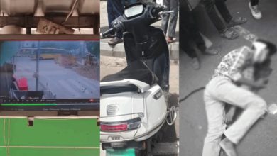 Ahmedabad Accident: Electric Moped Rider Killed After Coming Under School Bus Near Shastrinagar Crossroads