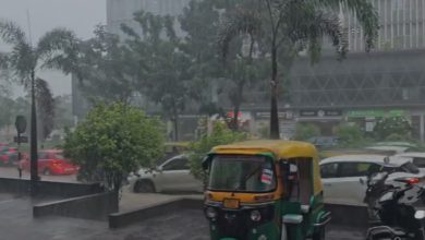 Ahmedabad Rains: Extremely Heavy Downpour Forecast, Schools and Colleges to Remain Shut on July 24
