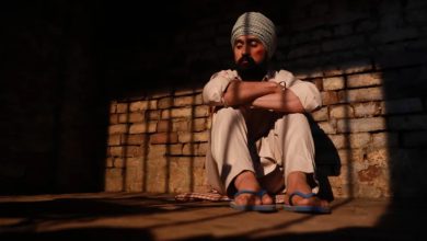 Diljit Dosanjh's Satluj Removed From Zee5 Days After Release; OTT Platform Says It 'Stands Firmly' by the Film