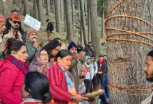 Uttarakhand's Road Expansion Plan Sparks Outrage As Thousands Of Trees Face the Axe