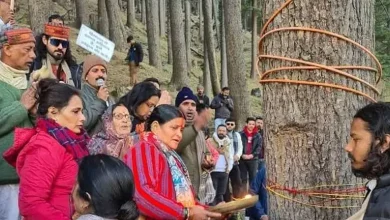 Uttarakhand's Road Expansion Plan Sparks Outrage As Thousands Of Trees Face the Axe