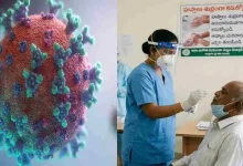 COVID Back On Andhra Pradesh's Radar: Four Deaths In Three Weeks Raise Fresh Health Concerns