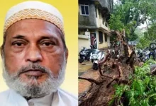 Mumbai Rains Turn Deadly Again: 63 Year Old Man Killed After Tree Crashes Onto Shop In Kurla