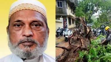 Mumbai Rains Turn Deadly Again: 63 Year Old Man Killed After Tree Crashes Onto Shop In Kurla