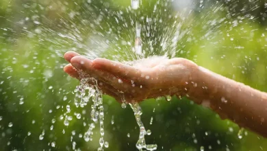 Monsoon Is Here! Follow These Simple Health Tips To Stay Safe This Rainy Season