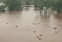 Floodwaters Sweep Away Thousands Of HP Gas Cylinder's In Raigad, Triggering Safety Concerns