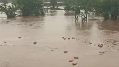 Floodwaters Sweep Away Thousands Of HP Gas Cylinder's In Raigad, Triggering Safety Concerns