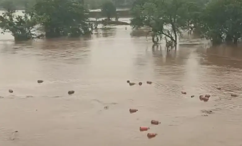 Floodwaters Sweep Away Thousands Of HP Gas Cylinder's In Raigad, Triggering Safety Concerns