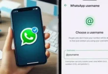 Govt Eyes Common Rules For Messaging Apps As WhatsApp Username Feature Comes Under Scanner