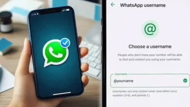 Govt Eyes Common Rules For Messaging Apps As WhatsApp Username Feature Comes Under Scanner