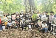 Public Pressure Brings Tree Felling For Rishikesh Bhaniyawala Highway Project To A Standstill