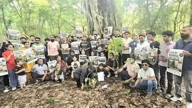 Public Pressure Brings Tree Felling For Rishikesh Bhaniyawala Highway Project To A Standstill