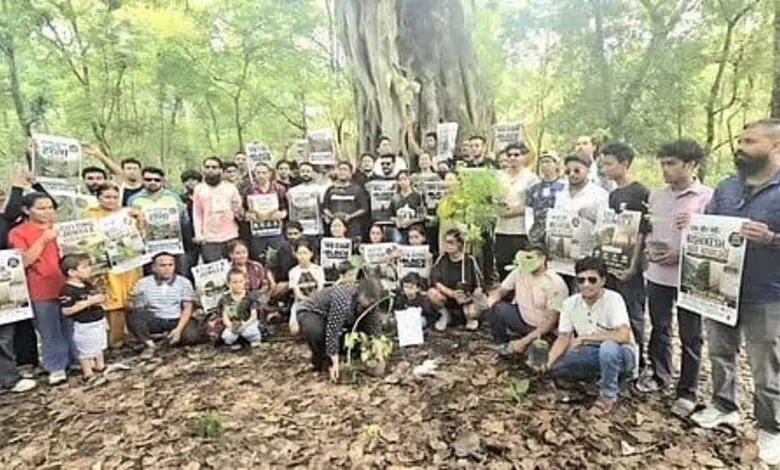 Public Pressure Brings Tree Felling For Rishikesh Bhaniyawala Highway Project To A Standstill