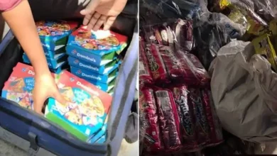 Nagaland Man's Rs 67,734 Pizza Order For Jantar Mantar Protesters Goes Viral, Wins Hearts Online