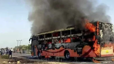 Inferno On Delhi Mumbai Expressway: 8 Dead, 22 Injured As Bus Bursts Into Flames After Rajasthan Crash