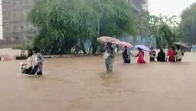 Mumbai Record Rain In An El Nino Year ? Here's Why The Monsoon Defied Expectations