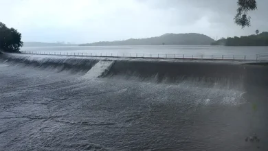Mumbai Water Cuts To Stay Despite Reservoir Levels Jumping After Heavy Rain, Vihar Lake Overflows