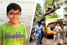 BMC Rejects Own Report On Chembur Tree Collapse, Orders Fresh Probe Into Schoolboy's Death