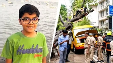 BMC Rejects Own Report On Chembur Tree Collapse, Orders Fresh Probe Into Schoolboy's Death
