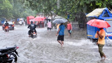 Gujarat Weather: Five Rain Systems active Simultaneously; Heavy Showers Likely over Saurashtra and South Gujarat