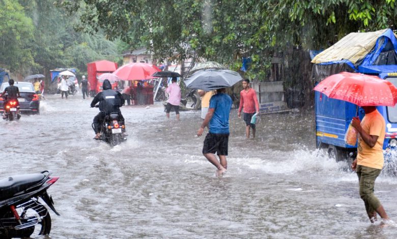 Gujarat Weather: Five Rain Systems active Simultaneously; Heavy Showers Likely over Saurashtra and South Gujarat