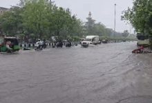 Gujarat Rain Alert: IMD Issues Red Alert for 8 Districts, Signal No. 3 Hoisted at Ports