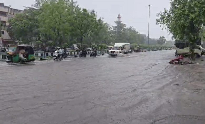 Gujarat Rain Alert: IMD Issues Red Alert for 8 Districts, Signal No. 3 Hoisted at Ports