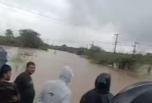 Junagadh Rain: Flooding Washes Away Keshod-Mangrol NH-51, Rescue Operations Save 29 People in Mendarda and Manavadar
