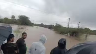 Junagadh Rain: Flooding Washes Away Keshod-Mangrol NH-51, Rescue Operations Save 29 People in Mendarda and Manavadar
