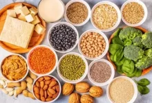 Top 10 Vegetarian Foods with the Highest Protein per 100g