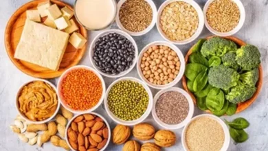 Top 10 Vegetarian Foods with the Highest Protein per 100g