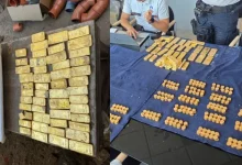 18-Year-Old Discovers Gold Worth Nearly ₹100Cr While Doing Sewage Work In Belgium